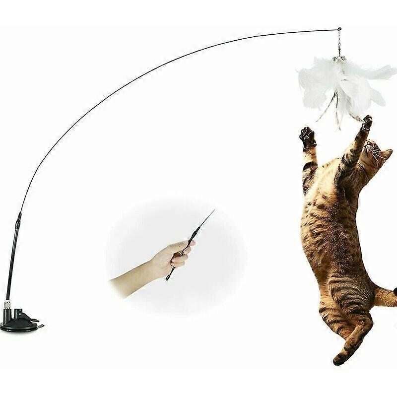 Interactive Flexible Detachable Cat Wand Toy