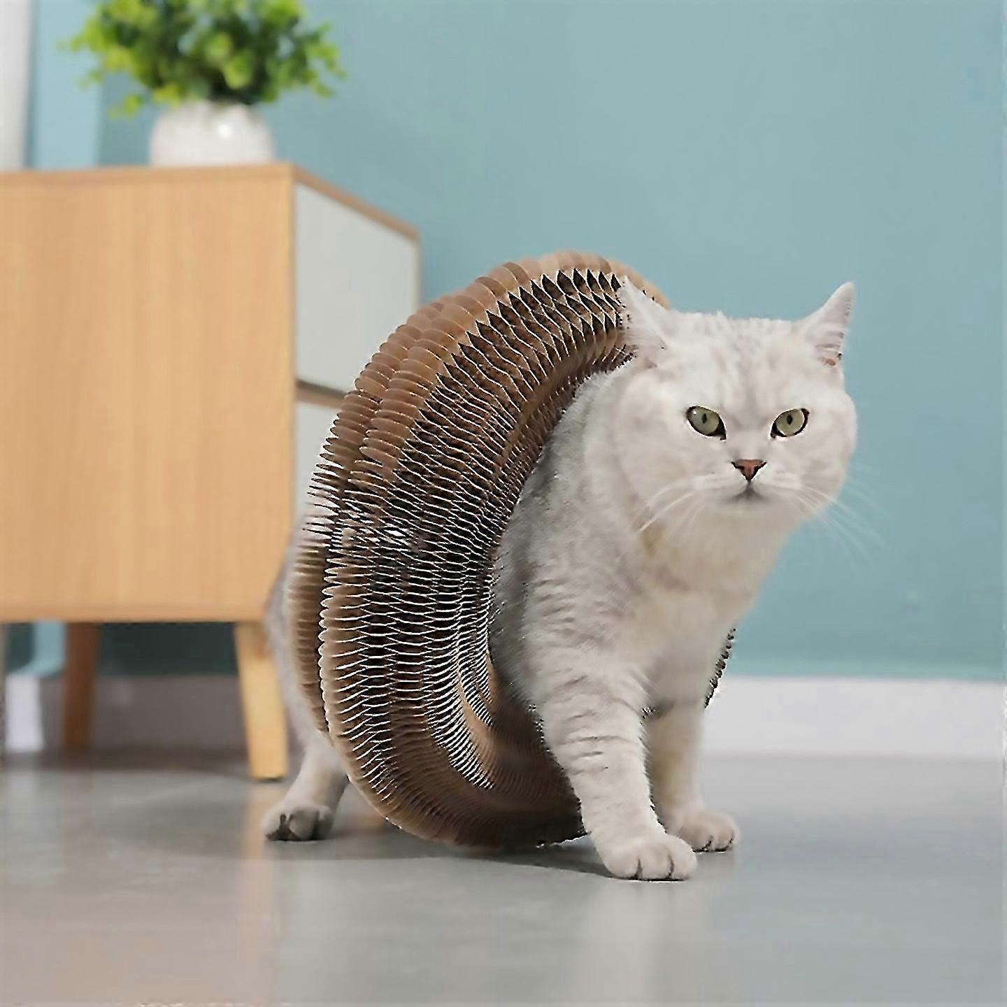 Interactive Accordion Cat Scratcher Board