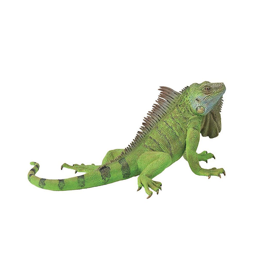 CollectA Realistic Animal Replica Iguana Figure Extra Large Ages 3 Years and Up
