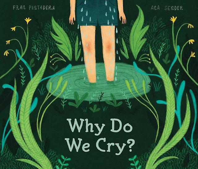 Why Do We Cry by Fran Pintadera Hardback Book