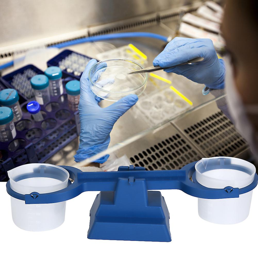 200g/1g Simple Balance Scale Educational Physics Tool 32x6.5x10.8cm