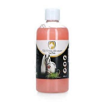 Horse concentrate shampoo
