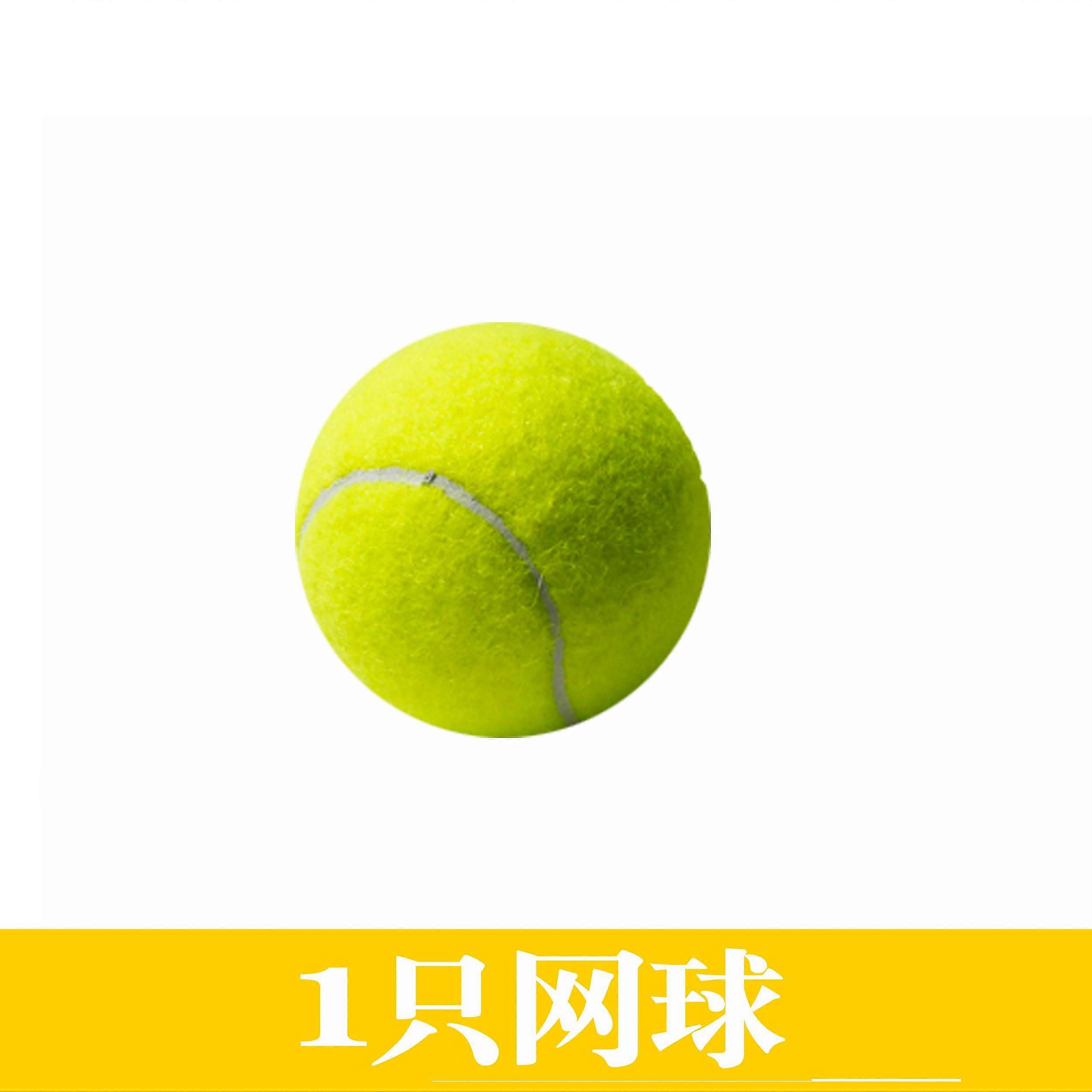 טניס מתחיל אימון גמישות גבוהה תחרות ספורט ספורט כדור כדור טניס כלב כדור