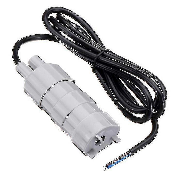 Dompelpomp Autowaspomp Borstelloos 12V DC 600L/u