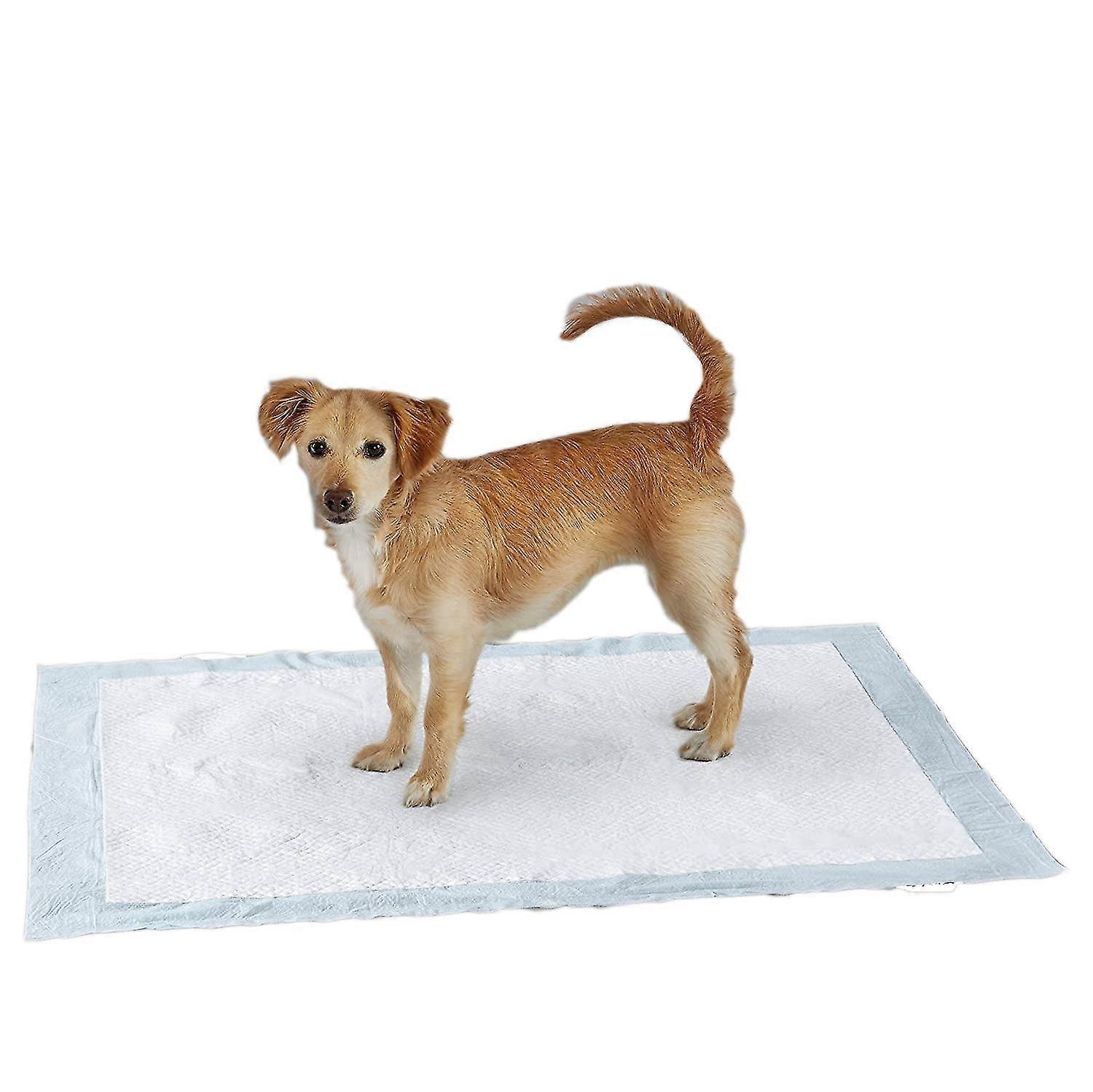 Pet Training And Puppy Pads Pee Pads For Dogs ,super Absorbent Leak-proof