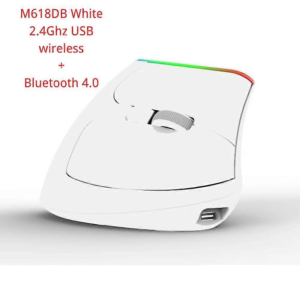 Delux M618DB Ergonomic Vertical Mouse rechargeable Wireless 2.4GHz Gaming Mouse RGB 1600 DPI Vertical Mice For PC Laptop Mice & Trackballs
