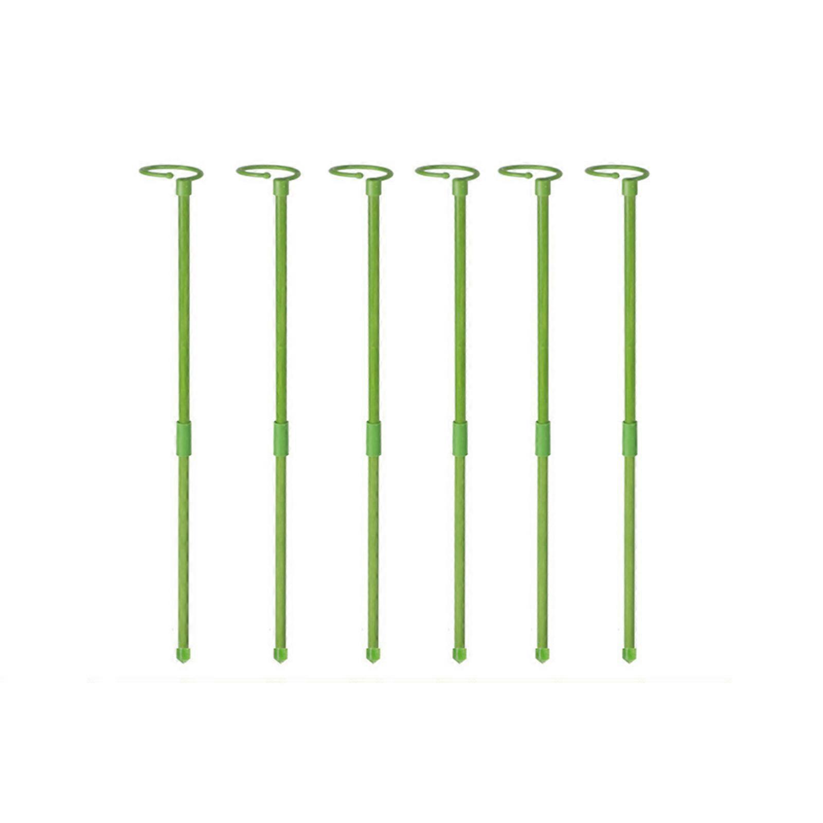 Gardening Tools for Creative DIY - Anti-Lodging Brackets with Free Splicing Size and Strong Fiberglass Pile for Flower Stands and Plant Support (60cm,