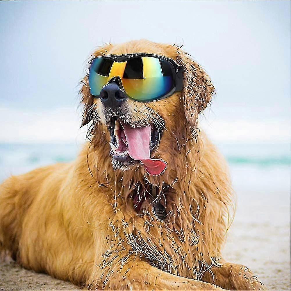 Uv Sunglasses For Large And Medium Dogs