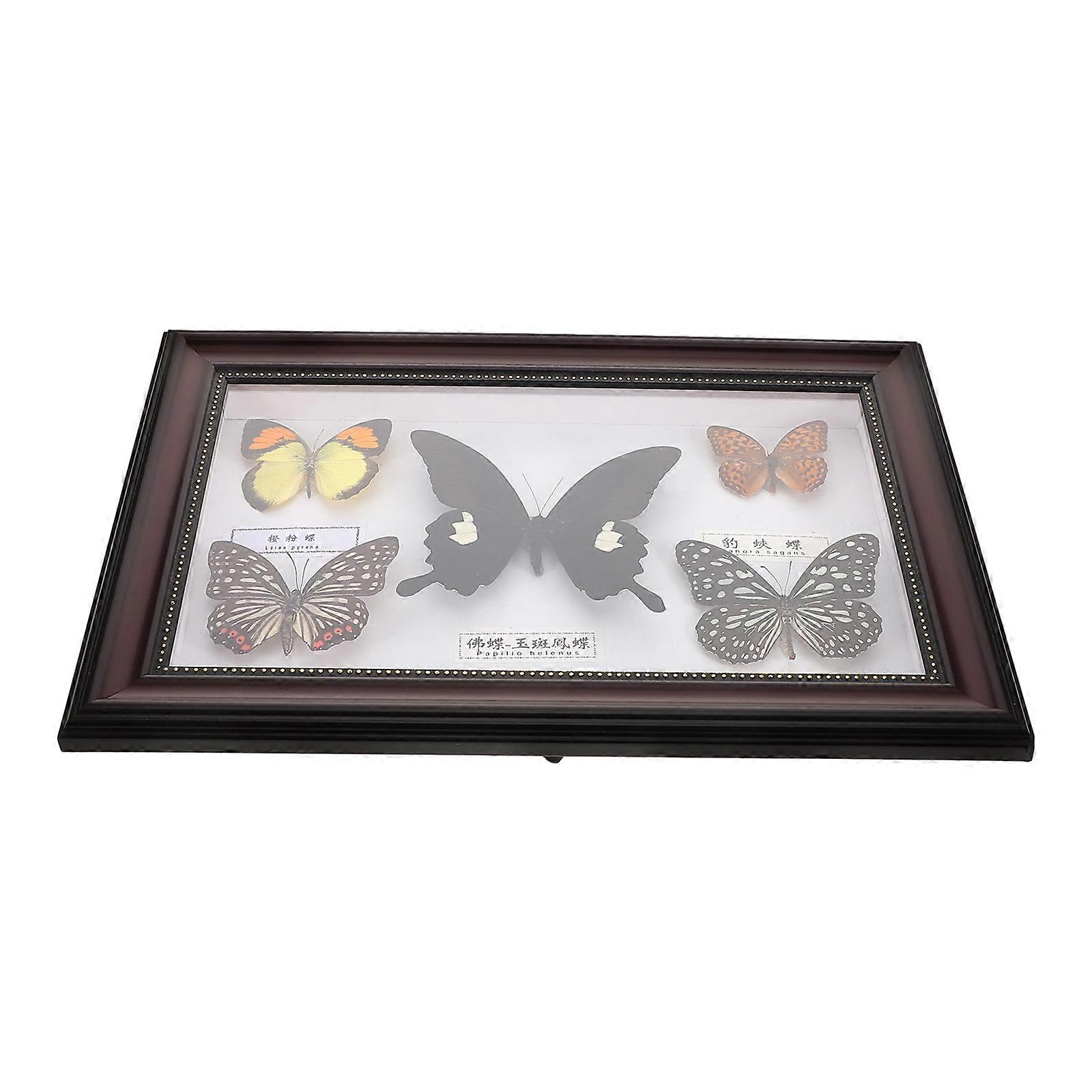 Framed Butterfly Elegant Look Real Butterfly Display Frame Wall Art Multi 1Pack