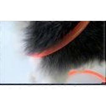 Hondenhalsband met LED - Reflecterend - Klikhalsband - USB Oplaadbaar - 3 Standen
