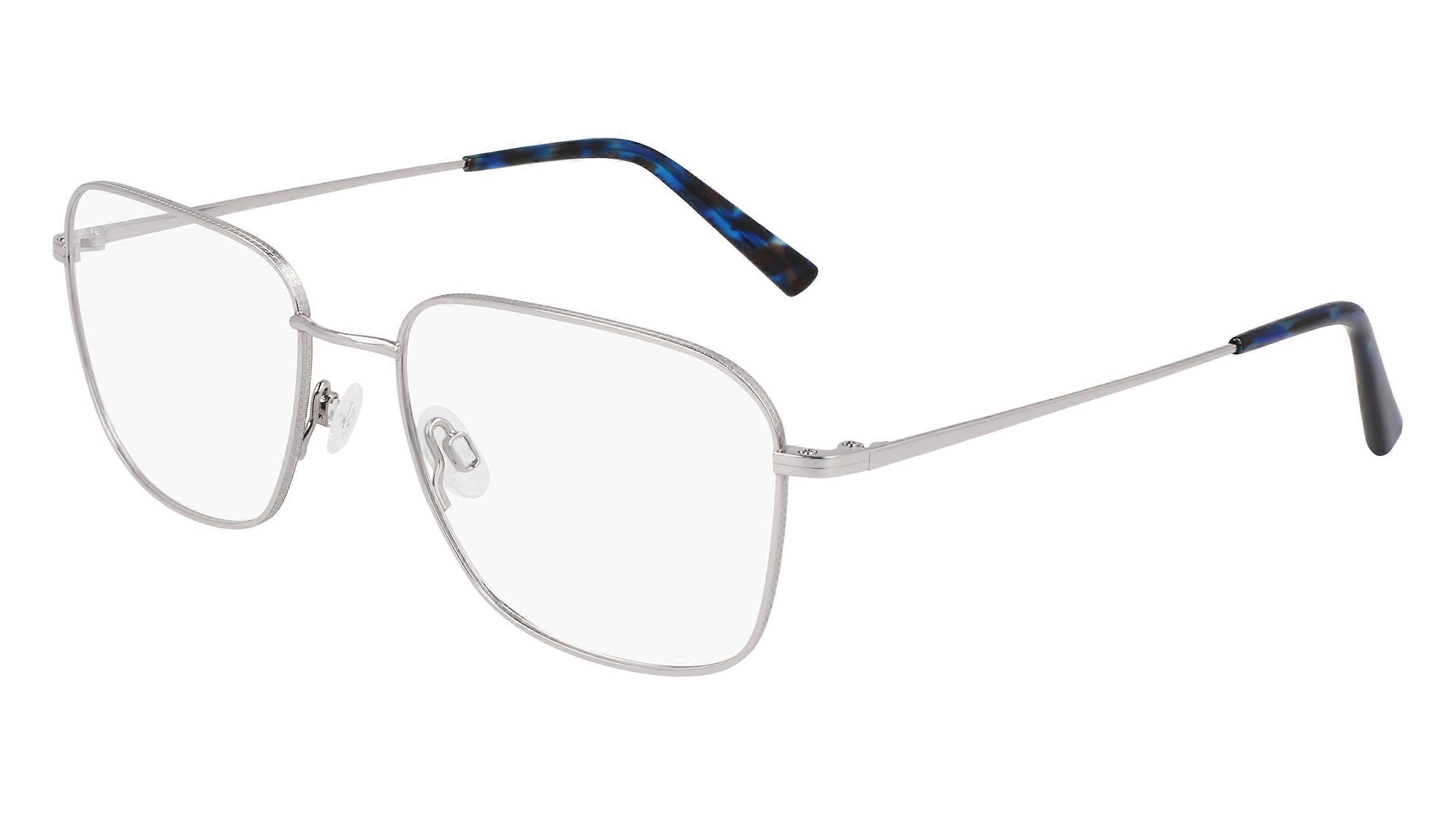 Eyewear Frames FLEXON FLEXON H6075 040 SILVER 55/18/140 UNISEX