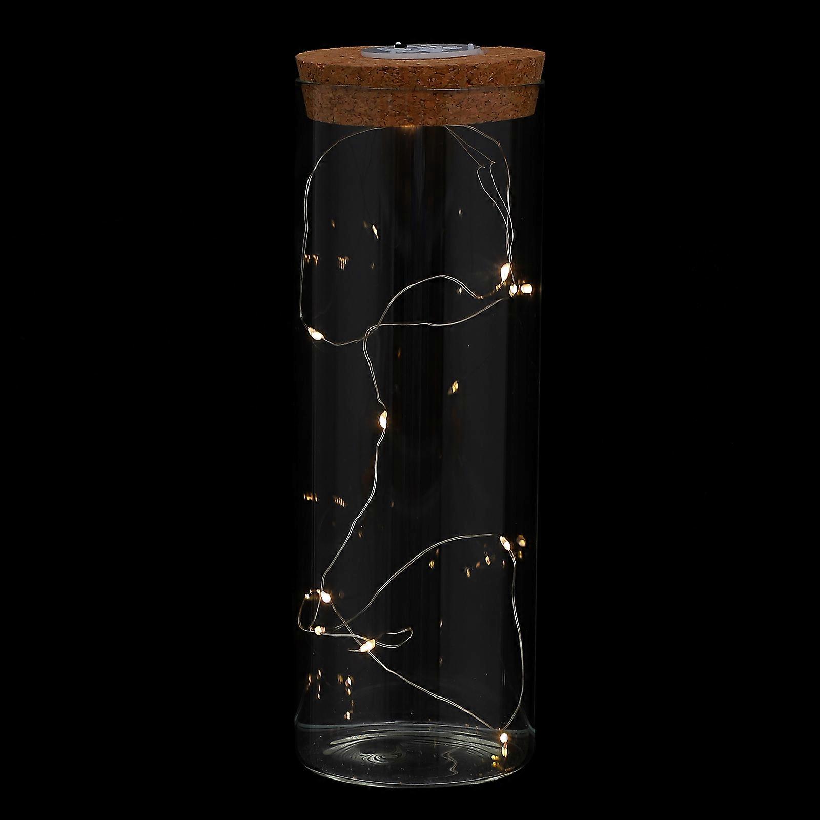 Preserved Flower Glass Bottles 2Pcs Wish Decorative Item 9.04X3.14X3.14 Inch Storage Function String Light