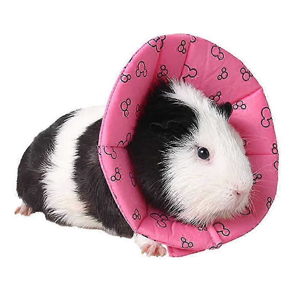 Gentle Post-Surgery E-Collar