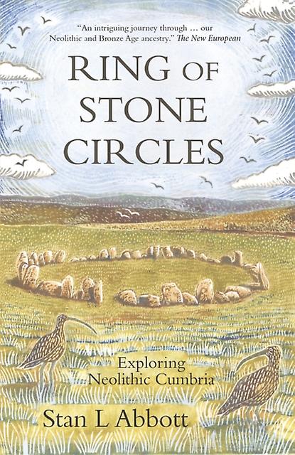 Ring Of Stone Circles by Stan L Abbott Paperback Book