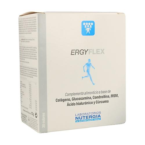 Ergyflex joints and skin 30 packets of 6g
