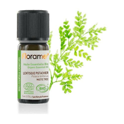 Essential oil Lentisk Pistachio 5 ml of essential oil