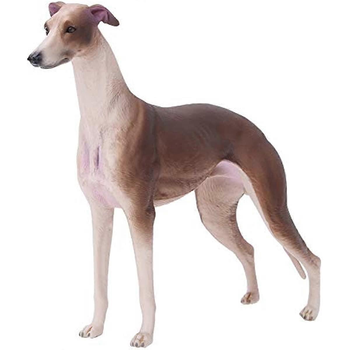 Simulation Greyhound Models Greyhound Model Teaching Tool for Home Baby