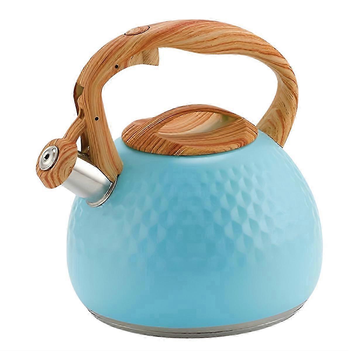 Whistling Kettle 3L with Handle for Induction & Gas Stove - Blue