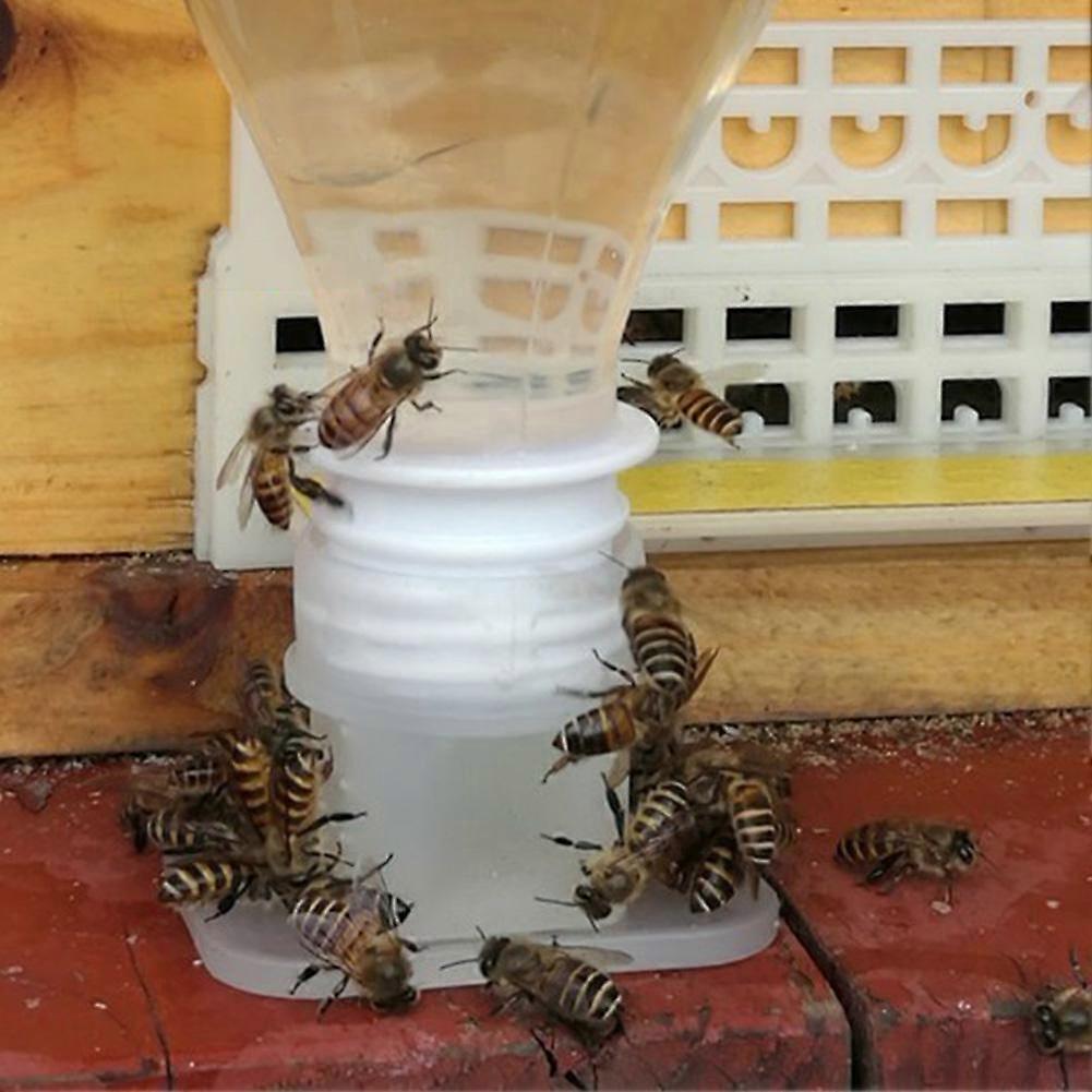 10 件自动制水机蜂王饮用水设备安装方便作养蜂工具
