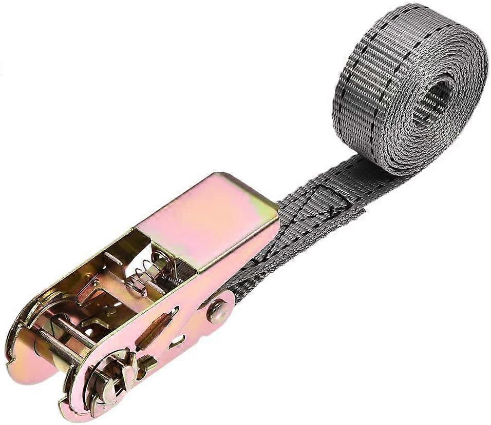 Tie-Down Strap with Cam Buckle 1.5 m, 800 kg, Gray, Polyester, 9 x 25 mm for Movable Cargo
