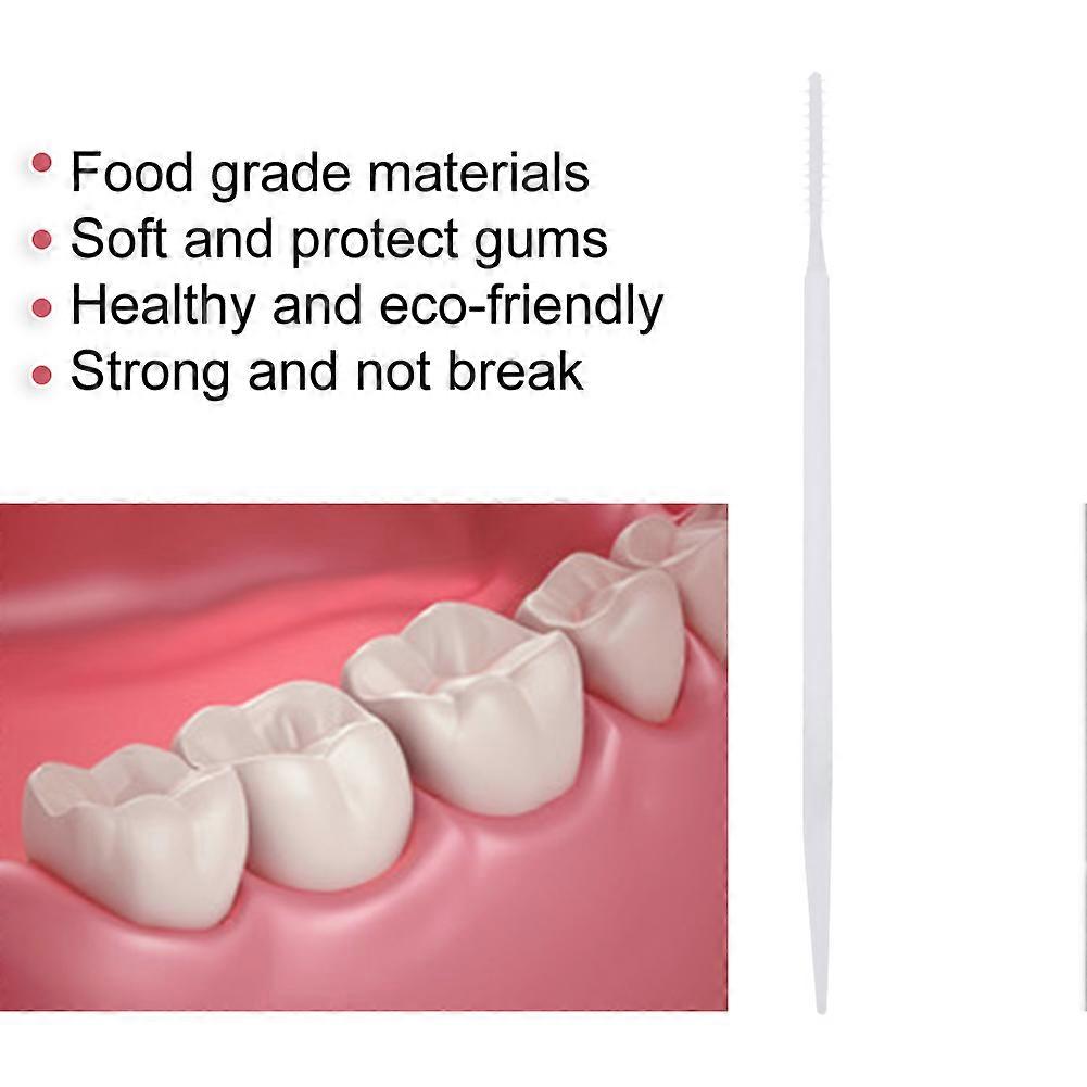 5000pcs Double Head Disposable Toothpicks for Teeth Cleaning