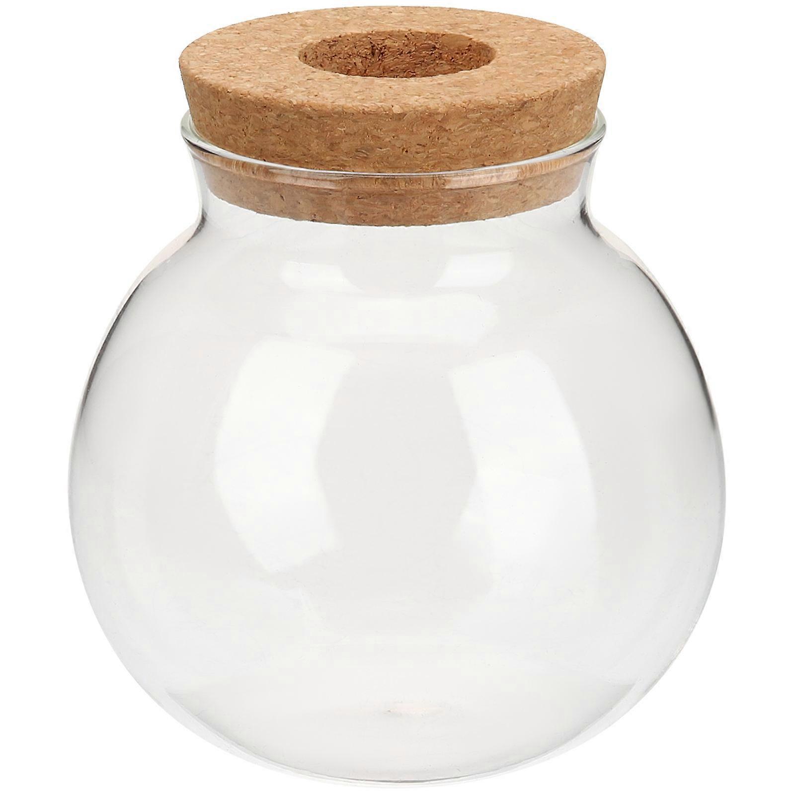 Propagation Jars Glass Container Pots Windowsill Use Home Decoration 1Pack