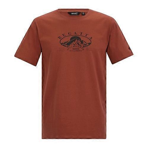 Regatta Mens Cline IX Mountain T-Shirt