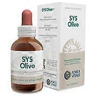 Sys cardiovascular olive 50 ml