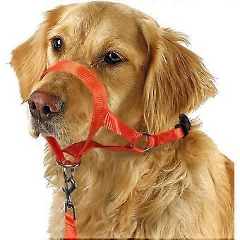 Dog Head Collar. No Pull Training Tool for Dogs on Walks. Includes Free Training Guide. 5 (L. Orange)