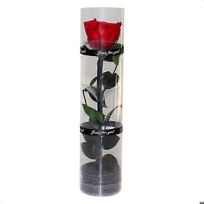 Véritable rose éternelle, rose éternelle, rose longue durée, rose éternelle