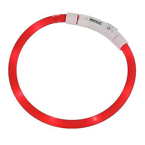 Collier pour chien LED Regatta