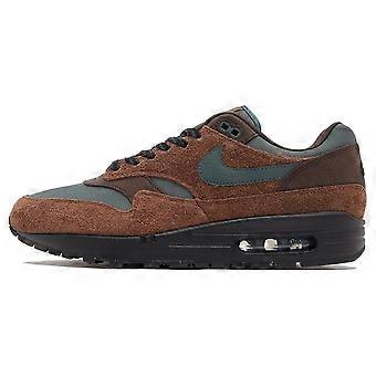 Nike Air Max 1 „Wołowina i brokuły” FZ3590-259