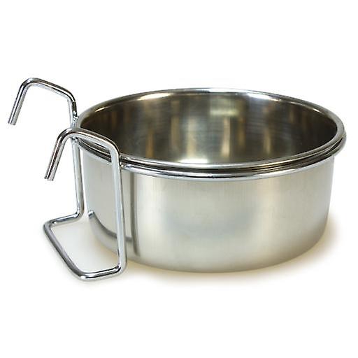 Arquivet Auge pour Perroquet Inoxydable