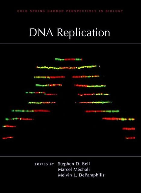 Dna Replication Paperback Book