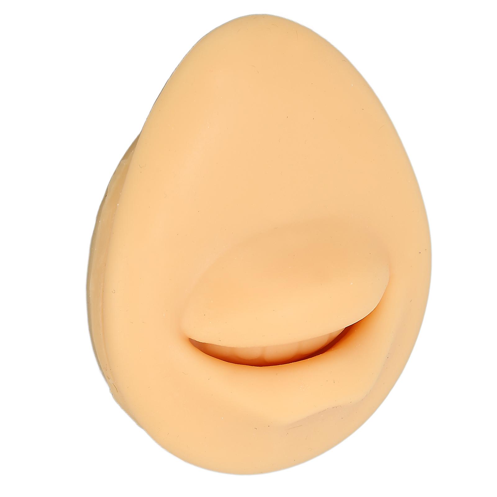 Soft Silicone Mouth Model Flexible Simulation Human Mouth for Body Part Display Teaching Tool