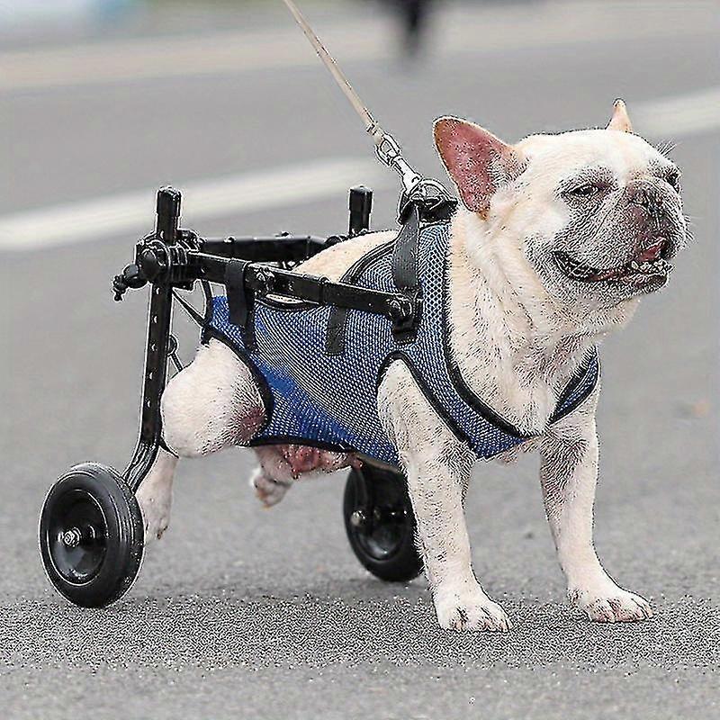 Hunde Rollstuhl Größe M - Verstellbare Gehhilfe Für Gelähmte Hinterbeine