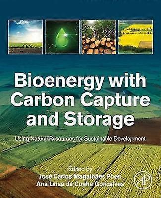 Bioenergy with Carbon Capture and Storage