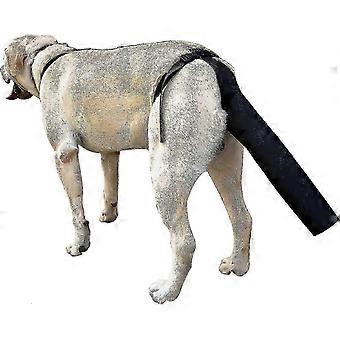 Hund hale beskytter, hund hale beskyttelse hund hale deksel for sår svart hund sele