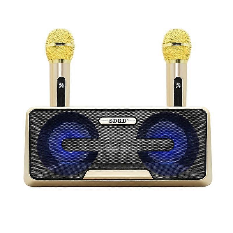 SDRD SD-301 Dual Microphone + Bluetooth Speaker