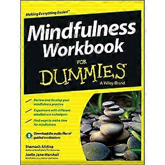 Mindfulness Workbook For Dummies