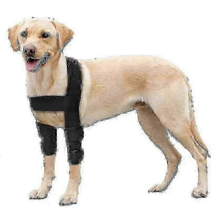 Anatomical Elbow & Shoulder Brace