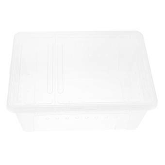 Plastic Breeding Box Transparent for Storage 1Pcs Small Reptile Animal Use