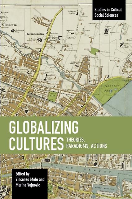 Globalizing Cultures Theories Paradigms Actions Paperback