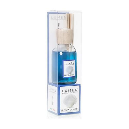 Diffuser Sticks Fragrance Brezza 100 ml