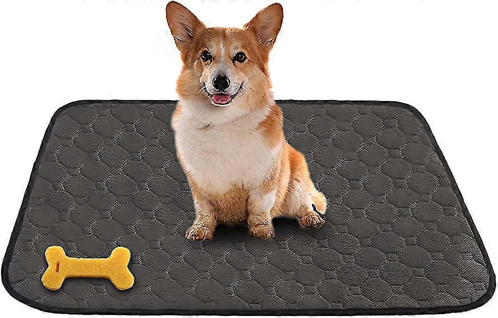 Dog Training Pads, Pet Pee Pad For Dogs Cats Machine Washable, Reusable