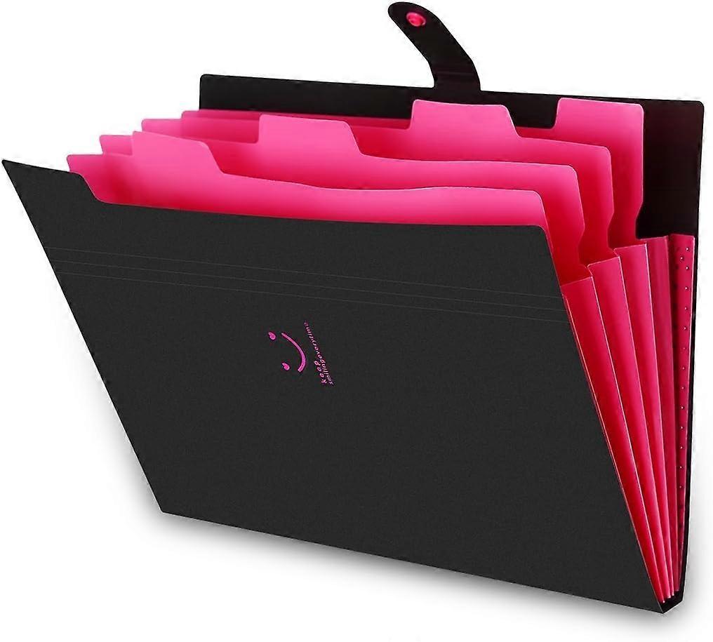 Expandable Portable Document folder, A4 document folder, A4 folder, 5 compartments Handheld folder