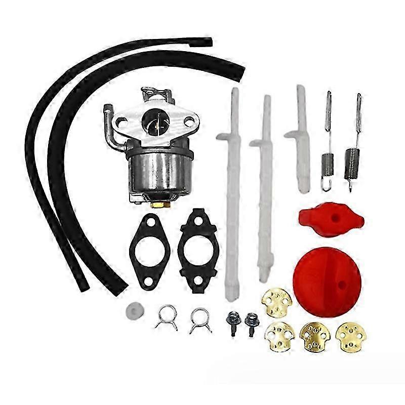798917 Snow Blower Carburetor Kit συμβατό με Stratton 790558 794587 791953 791292 12A000 12C000 Μοντέλο Engi