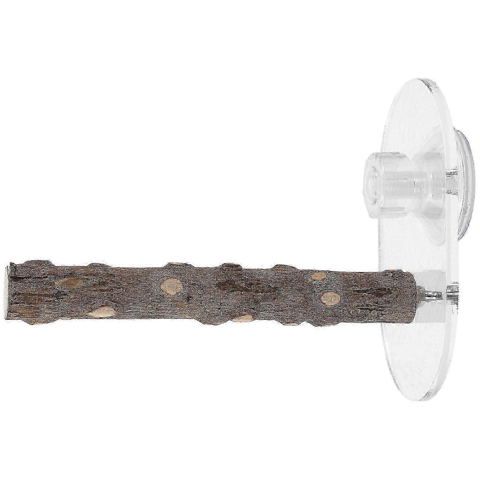 Suction Cup Standing Bracket Rustic Parrot Stand Stable Sucker Parrot Bird Perch