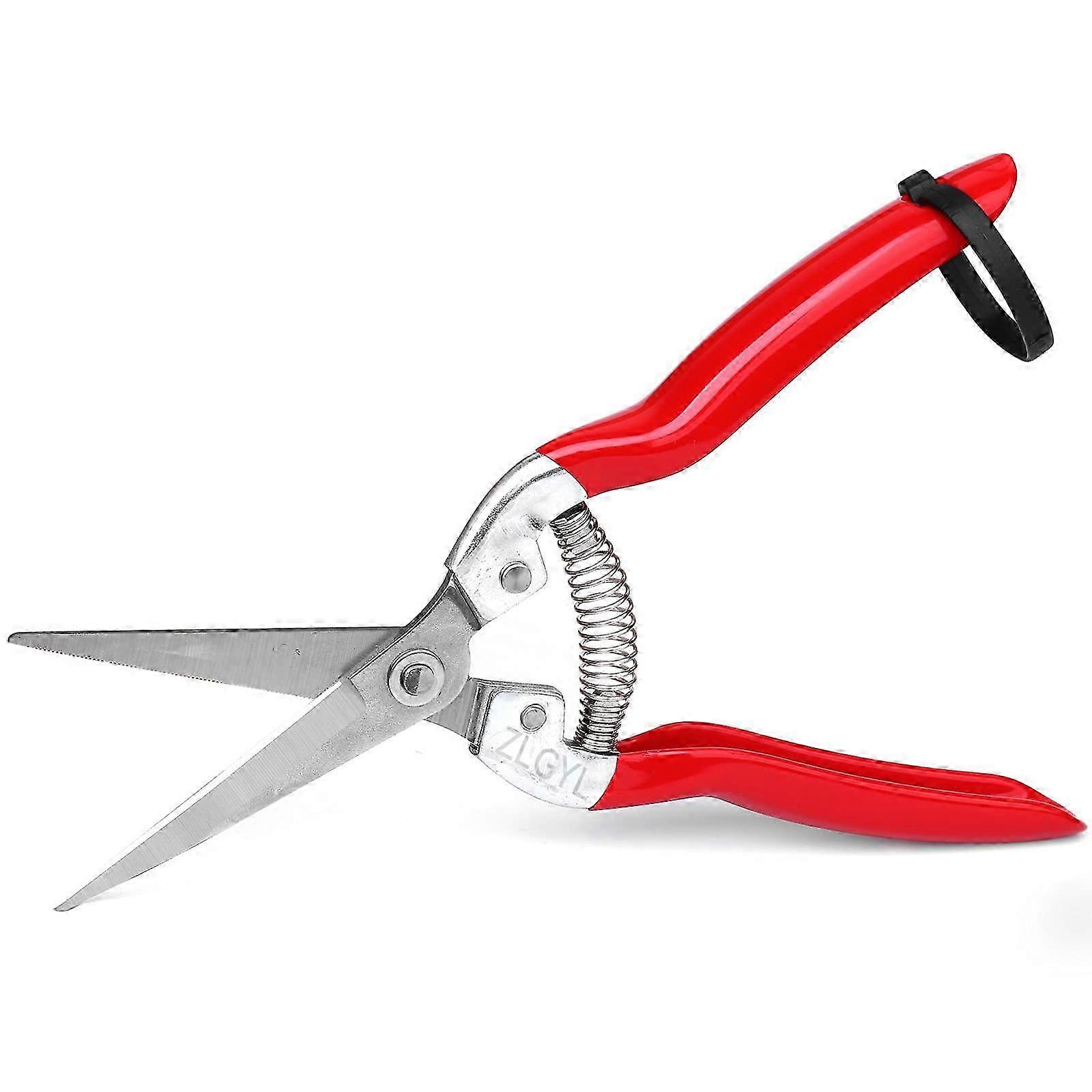 Professional Micro-Tip Pruning Snip for Plants 2025