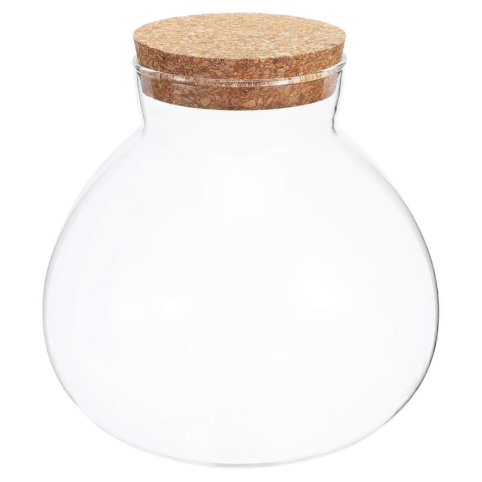 Glass Terrarium for Plant Terrarium Use 2Pcs with Cork Lid